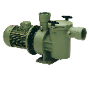 Astral Aral SP-3000 Cast Iron Pump 4HP 690V